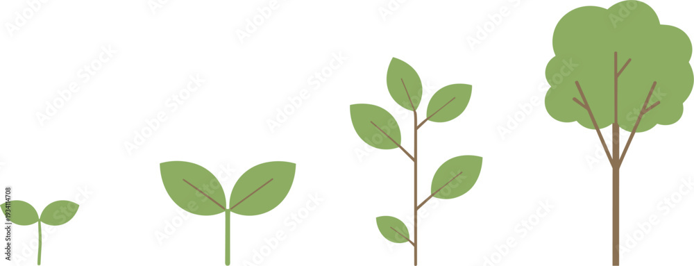 Obraz premium Sprout to tree growth process flat vector set isolated on white