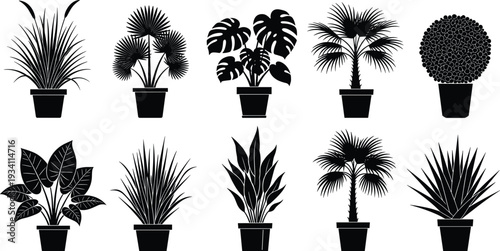 Collection of potted houseplant silhouettes including tropical palm, monstera and decorative indoor plants, black vector set isolated on white background for interior design