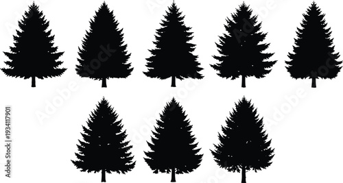 Set of evergreen pine tree silhouettes isolated on light background, detailed conifer forest collection for landscape design, winter nature themes, forestry illustration, and outdoor branding