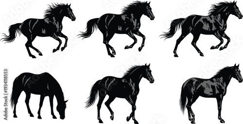 Black silhouettes of horses in various poses and gaits on a white background black and white animal