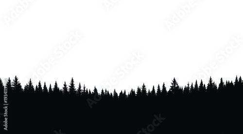Black silhouette of a dense forest with tall pine trees isolated on white background at dusk or dawn
