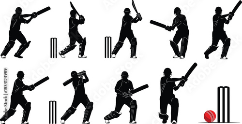 Vector illustration of stylized cricket players batting with stumps and ball symbolizing sport, teamwork, culture, and education