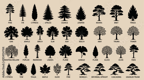 Minimalist Tree Silhouette Vector Collection – Pine, Oak, Cypress Forest Clipart Set