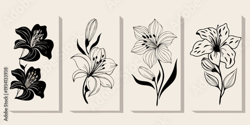 Four botanical line art illustrations of elegant lily flowers in monochrome
