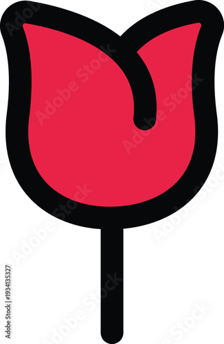 Single red tulip flower blooming beautifully