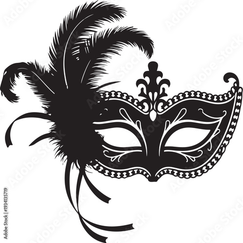 Black masquerade mask with feathers carnival