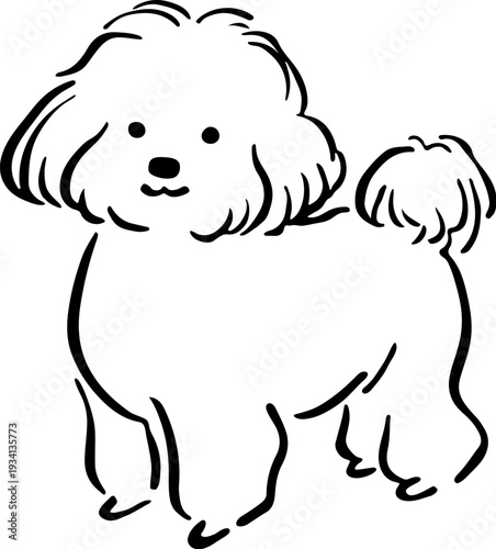 Cute dog poodle doodle hand drawn illustration