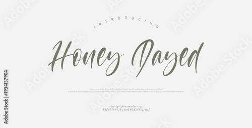 Honey Dayed, Script premium luxury elegant alphabet letters and numbers. Elegant wedding typography classic serif font decorative vintage retro. Creative vector illustration
