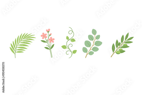 Five distinct botanical elements including a palm frond, pink blossoms, a leafy vine, eucalyptus sprig, and an olive branch are displayed on a dark black background.