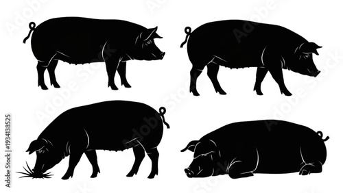 Set of Four Black Pig Silhouettes Illustrating Farm Animals in Various Poses and Natural Behaviors