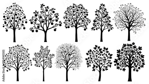 Collection of stylized black and white vector illustrations of various trees