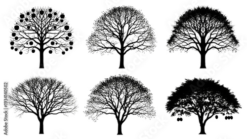 Collection of diverse tree silhouettes illustrating various forms, seasons, and natural beauty in vector art