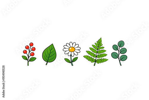 A collection of five botanical stickers featuring red berries, a green leaf, a white daisy flower, a fern frond, and a eucalyptus stem, all set against a solid black background.