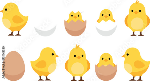 Cute Baby Chick Collection with Egg, Hatching Chick, and Cartoon Yellow Chicken Vector Illustration Set for Easter and Spring Designs
