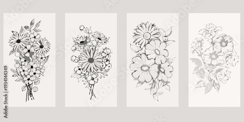 Four vertical panels displaying botanical sketches of daisy like flowers