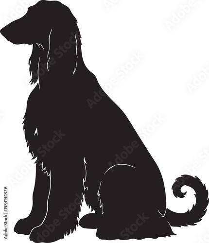 fghan Hound dog in silhouette on white background.