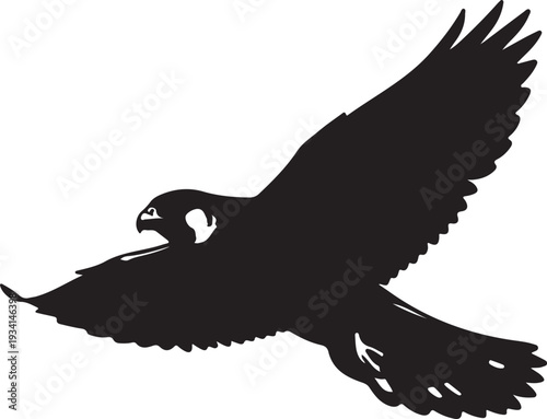 Amur Falcon in silhouette..