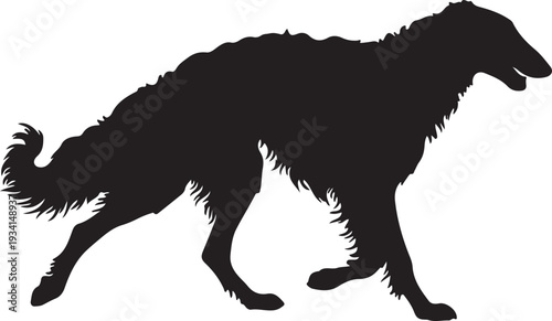  Borzoi dog in silhouette on white background.