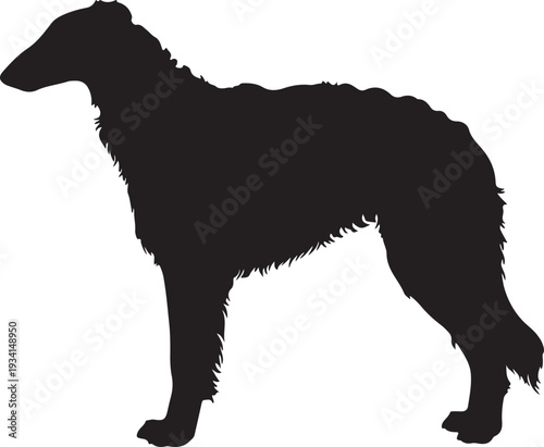 Borzoi dog in silhouette on white background.
