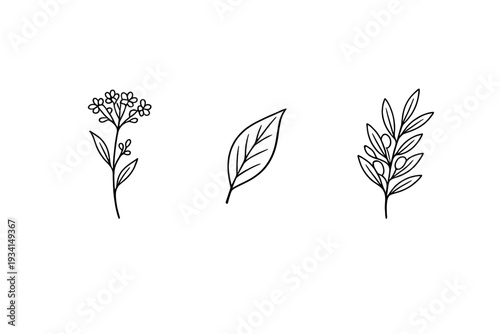 Three minimalist white line art illustrations of botanical elements including a flowering plant, a single leaf, and a leafy branch, set against a solid black background.