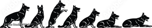 Set of black silhouettes of German Shepherd dogs in various poses on white background canine animal