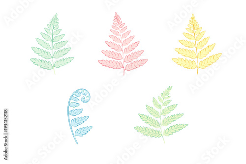 A collection of five stylized fern leaves in various colors including green, pink, yellow, and blue, set against a black background. The botanical illustrations show intricate details.