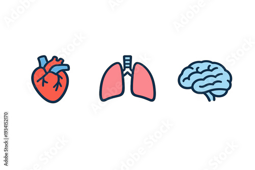 A set of three stylized human organ icons including a heart, lungs, and brain, presented in a flat design style with red and blue colors against a solid black background.