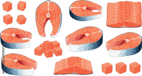 Fresh Salmon Cuts Collection with Raw Fish Steak Fillet Slices and Cubes Isolated Flat Seafood Vector Illustration Set