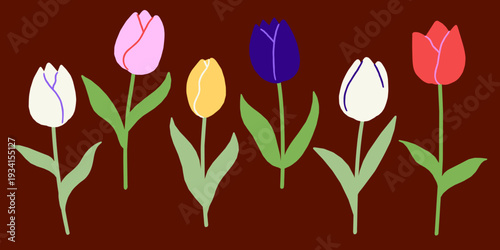 Tulips Spring Flowers Vector Flower Illustration set