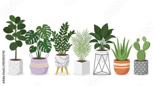Modern Houseplants in Pots Green Plants Vector Illustration White Background