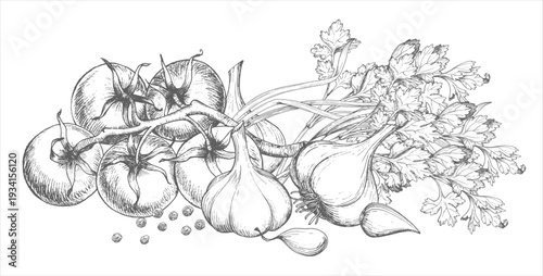 Banner of garlic, tomatoes, parsley, black pepper and green onion. Vector ink handmade elements. For packaging design, cards, cover, prints, product labels and fabric.
