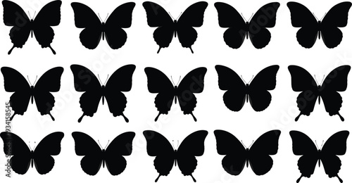 Collection of Black Butterfly Silhouettes on a White Background Keywords: butterfly, silhouette, black, insect, wing, nature