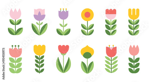 Colorful illustration of various flowers including tulips and daisies isolated on white background for spring and summer designs