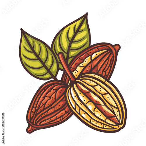 Cacao pods with fresh green leaves on transparent background illustration