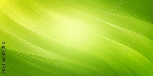 A bright macro closeup of fresh green leaf foliage reveals an organic abstract background of intricate plant veins and texture patterns in a spring garden light