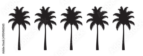 Five realistic palm tree silhouettes isolated on a white background for tropical island scenery