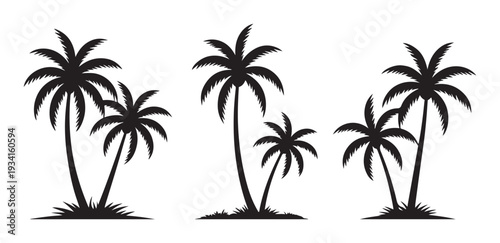 Tropical palm trees in silhouette on white background for summer vacation and travel design
