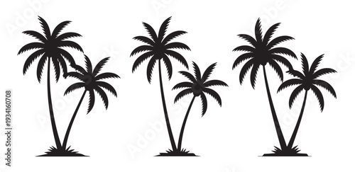 Group of tropical palm trees in silhouette on white background for summer vacation and beach design