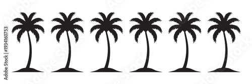 Row of tropical palm trees in silhouette on white background for summer vacation and beach design
