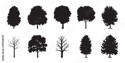 set of diverse tree silhouettes, vector collection of black leafy and bare tree shapes on white background