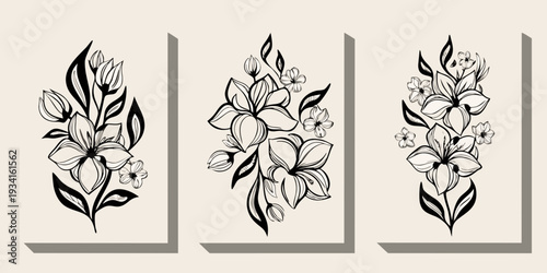 Three floral arrangements with delicate black lines and rectangular shadows