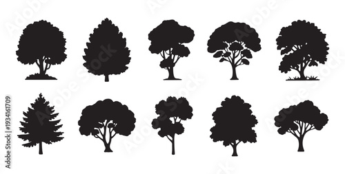 Collection of diverse silhouette trees for landscaping design nature isolated on white background