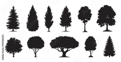 Set of black tree silhouettes isolated on white background with various forest species and foliage shapes