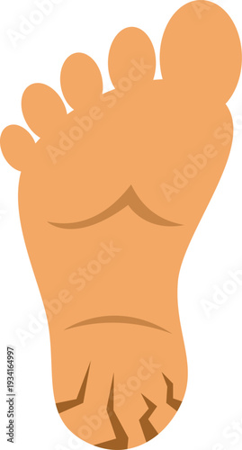 Vector illustration depicting a human foot with heel cracks symbolizing dryness and skin care issues