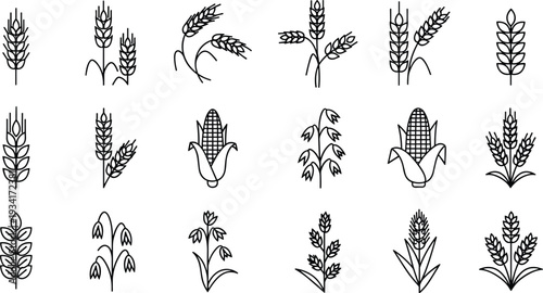 Various Icon Illustrations of Wheat, Corn, and Other Grain Crops in a Simple Style