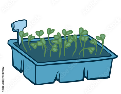 Young green seedlings sprouting in a container tray with a plant marker. Hand-drawn vector illustration. Isolated doodle for spring gardening, agriculture, or new life concepts.