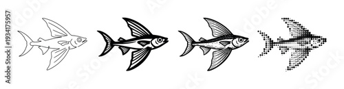 Flying fish vector illustrations in various styles, including outline, solid, detailed, and halftone dot patterns.