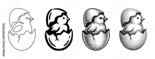 Little chick hatching from egg in various artistic styles including line art, brush stroke, engraving, and stipple illustration.