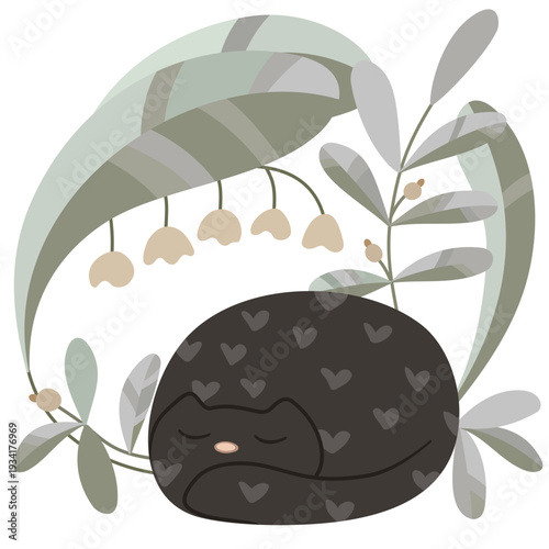 Adorable minimalistic vector illustration of a black cat with hearts leaning, surrounded by plants. A cute kitten curled up and is sleeping. Delicate black-gray color palette, clean lines, flat style