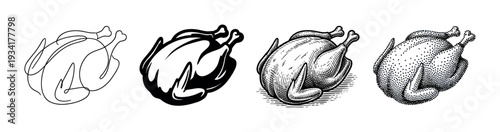 Whole raw poultry illustrations presented in four distinct artistic styles, perfect for various design projects.